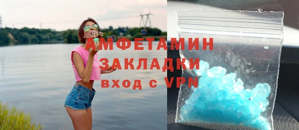 индика Белокуриха
