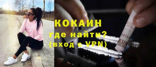 индика Белокуриха