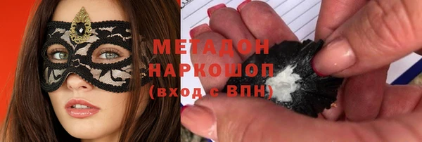 индика Белокуриха