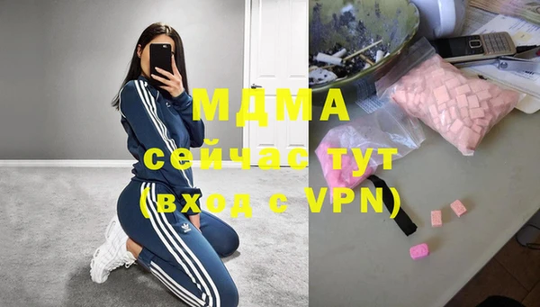 индика Белокуриха