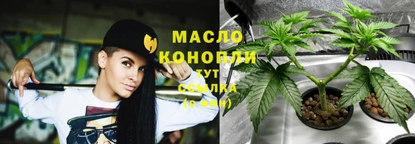 индика Белокуриха