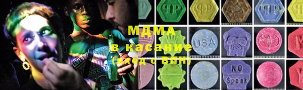 индика Белокуриха