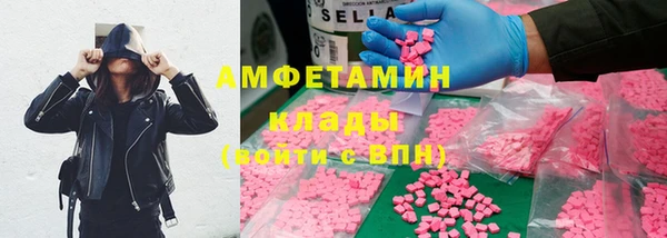 индика Белокуриха