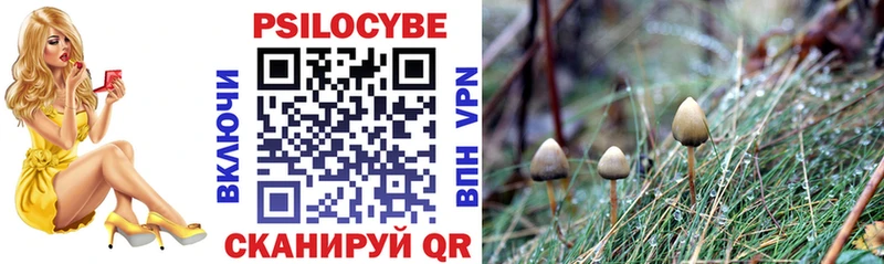 Галлюциногенные грибы MAGIC MUSHROOMS магазин продажи наркотиков Тюкалинск