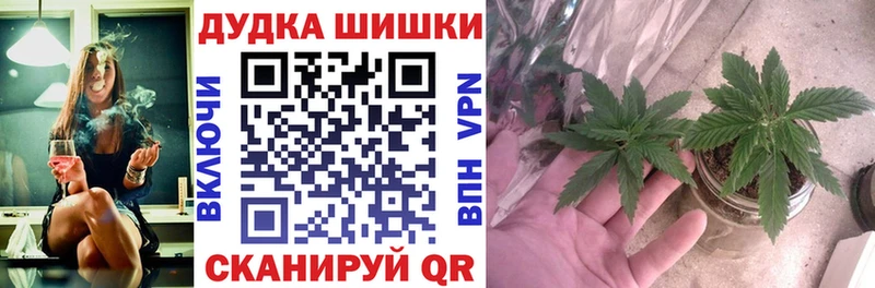 Бошки марихуана планчик  что такое наркотик  Тюкалинск 